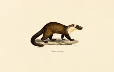  de Jacques Christophe Werner