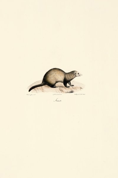  de Jacques Christophe Werner