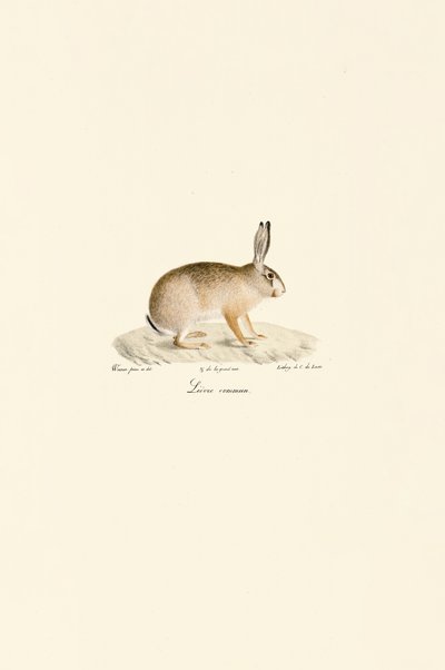 de Jacques Christophe Werner