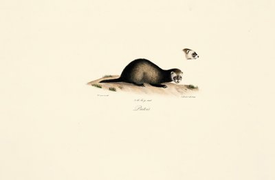  de Jacques Christophe Werner