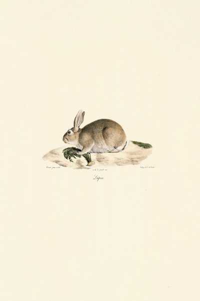  de Jacques Christophe Werner