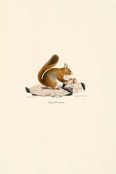  de Jacques Christophe Werner