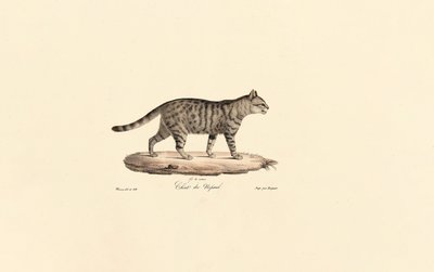  de Jacques Christophe Werner
