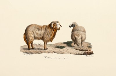  de Jacques Christophe Werner