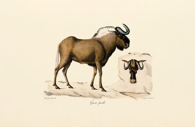  de Jacques Christophe Werner