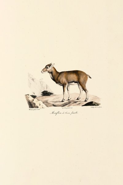  de Jacques Christophe Werner