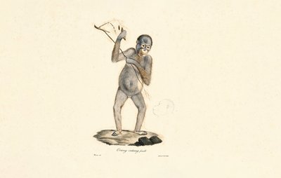  de Jacques Christophe Werner