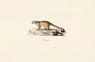  de Jacques Christophe Werner