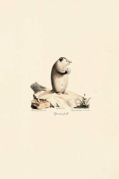  de Jacques Christophe Werner