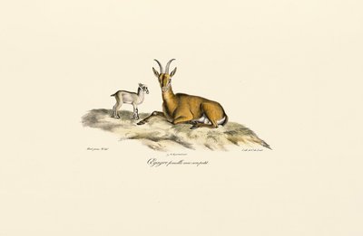  de Jacques Christophe Werner