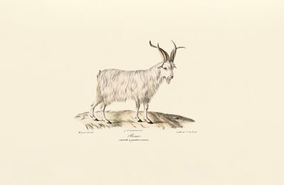  de Jacques Christophe Werner
