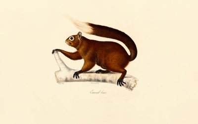  de Jacques Christophe Werner