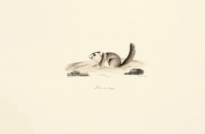  de Jacques Christophe Werner