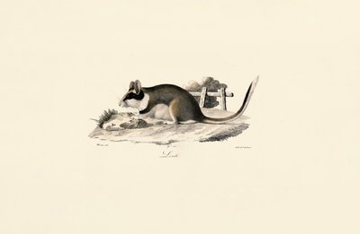  de Jacques Christophe Werner