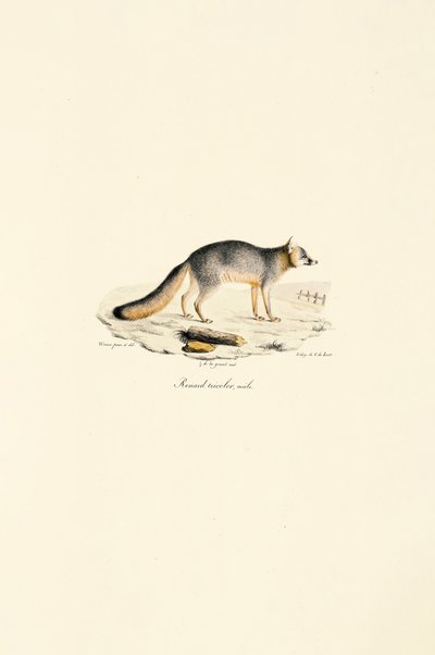  de Jacques Christophe Werner