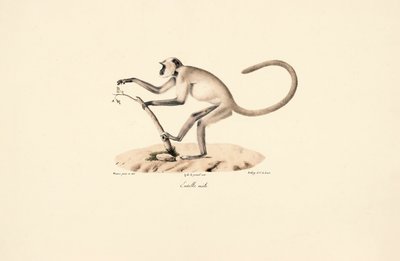  de Jacques Christophe Werner