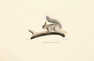 de Jacques Christophe Werner