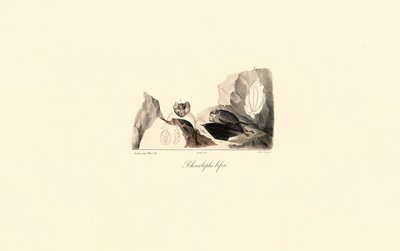  de Jacques Christophe Werner