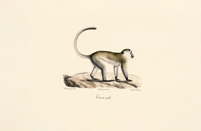  de Jacques Christophe Werner