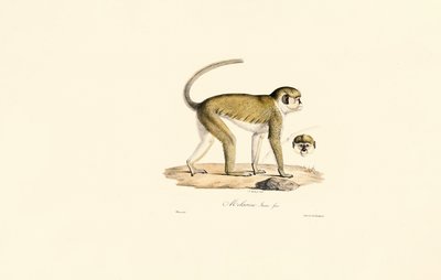  de Jacques Christophe Werner