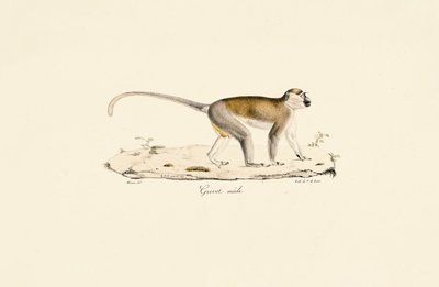  de Jacques Christophe Werner