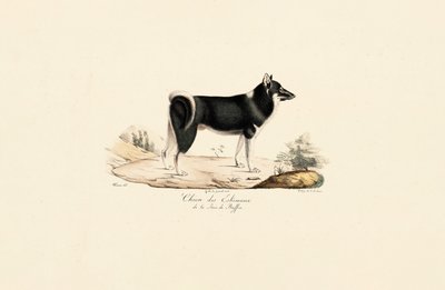  de Jacques Christophe Werner