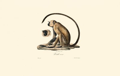  de Jacques Christophe Werner