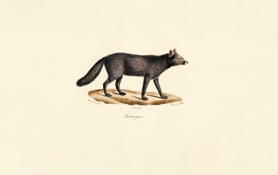  de Jacques Christophe Werner
