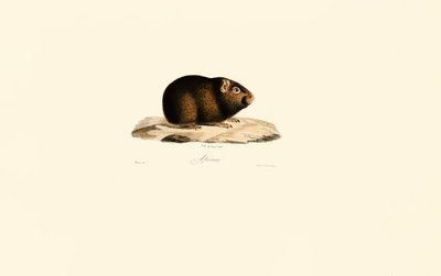  de Jacques Christophe Werner