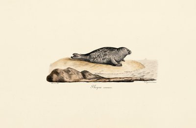  de Jacques Christophe Werner