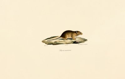  de Jacques Christophe Werner