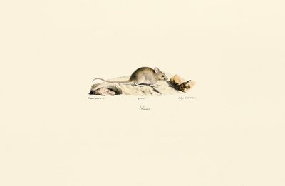  de Jacques Christophe Werner