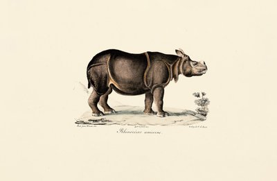  de Jacques Christophe Werner