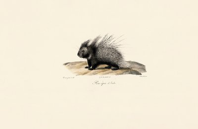  de Jacques Christophe Werner