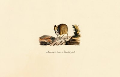  de Jacques Christophe Werner
