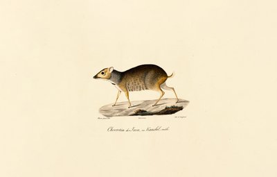  de Jacques Christophe Werner
