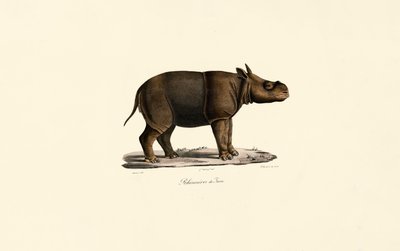  de Jacques Christophe Werner