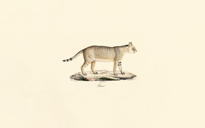  de Jacques Christophe Werner