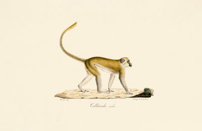  de Jacques Christophe Werner