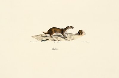 de Jacques Christophe Werner