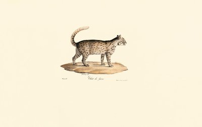  de Jacques Christophe Werner