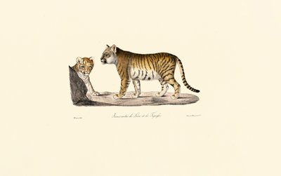  de Jacques Christophe Werner