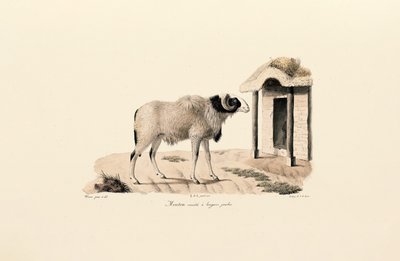  de Jacques Christophe Werner