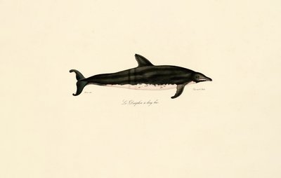  de Jacques Christophe Werner