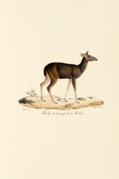  de Jacques Christophe Werner