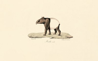  de Jacques Christophe Werner