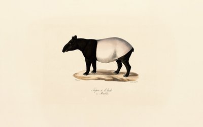  de Jacques Christophe Werner