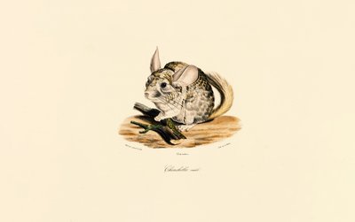  de Jacques Christophe Werner