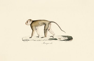  de Jacques Christophe Werner