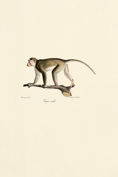 de Jacques Christophe Werner